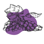 Raisin Noir