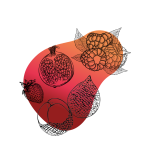 Fruit du serpent, Grenade, Fruits Rouges