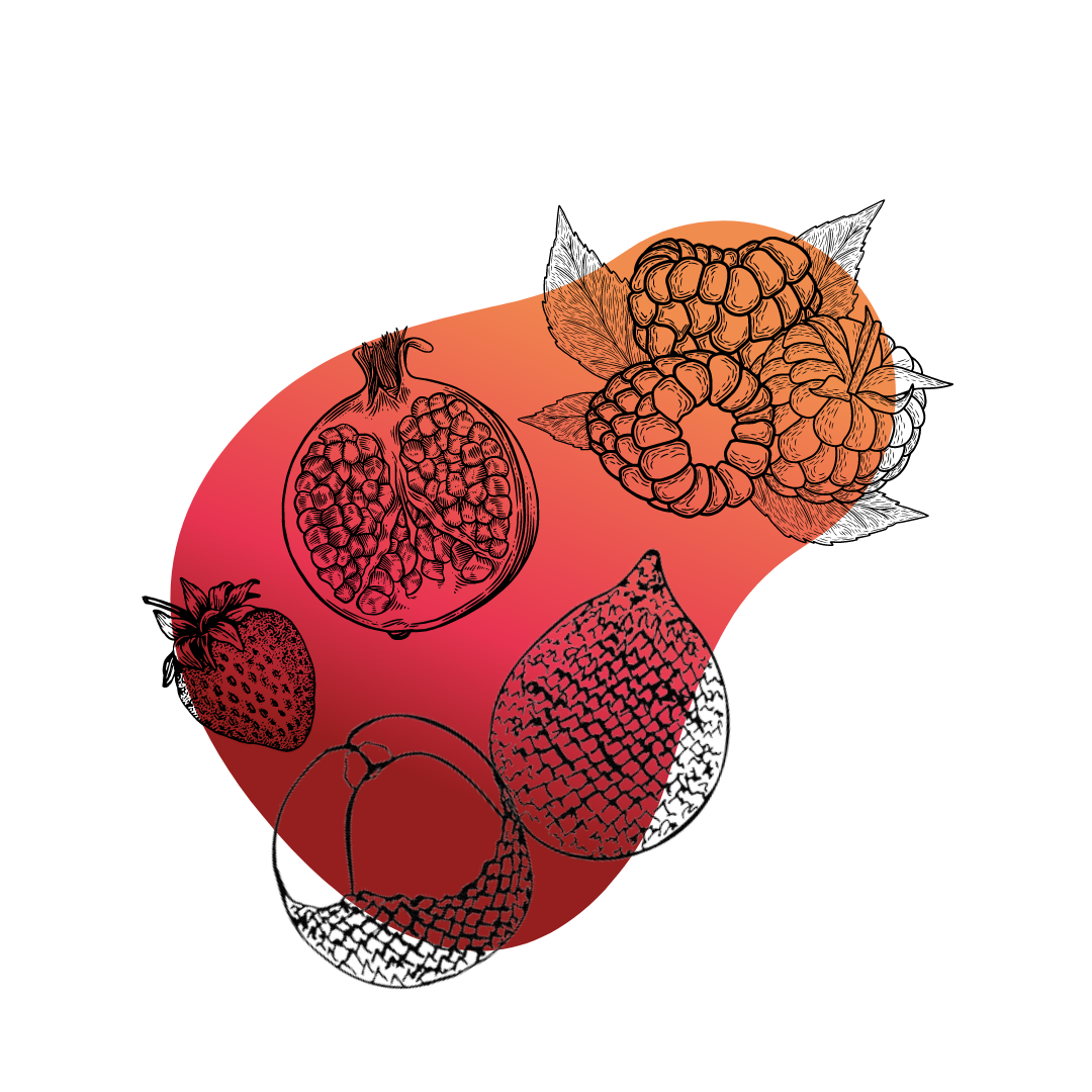 Fruit du serpent, Grenade, Fruits Rouges